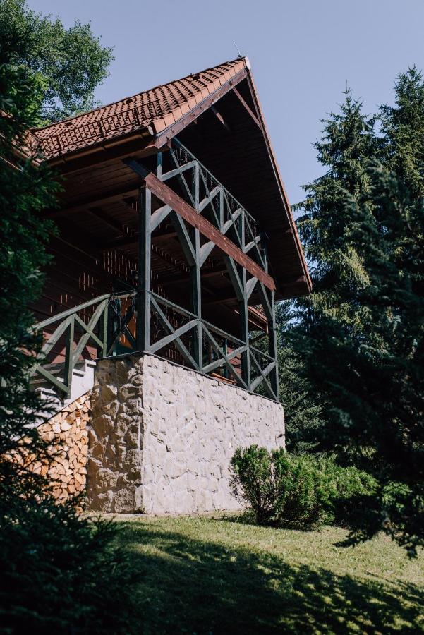 Brenna Lesnica Villa Exterior photo